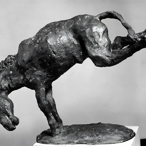 Angry Donkey, 1987, bronze, 80x100x35. Author`s property