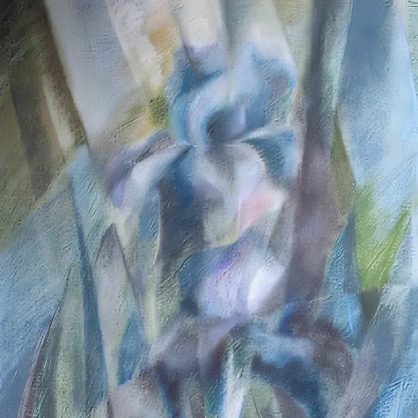 鸢尾花,1992年,纸上粉彩,65×45