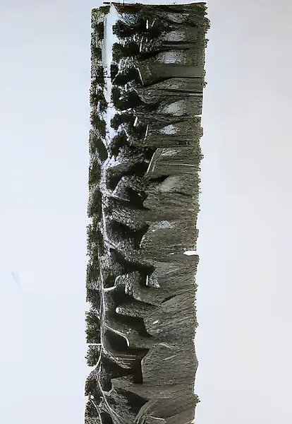 Эмоциональная, 1994, стальная скульптура, высота 100