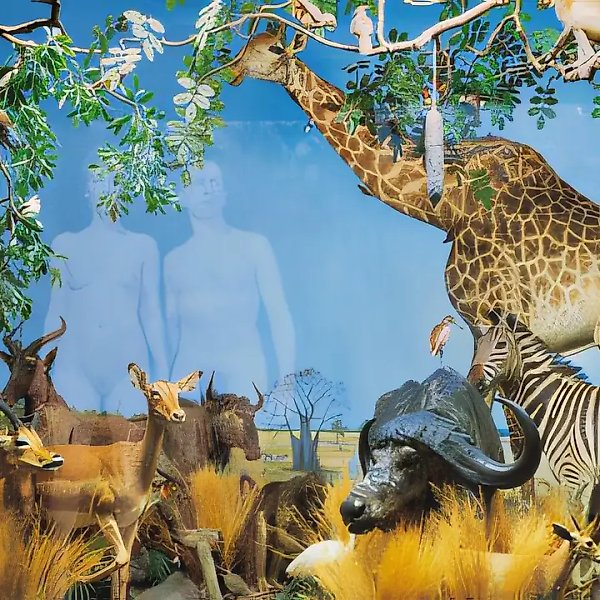 From the series «Museum of Nature, or New Paradise», 2001, C-print, 120x200. Giraffes