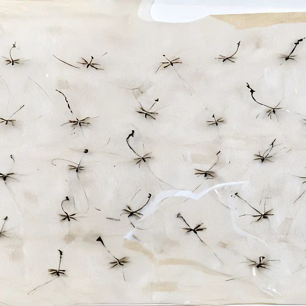 Насекомые, 1992, Бумага, акварель, 60х85 см Собственность автора