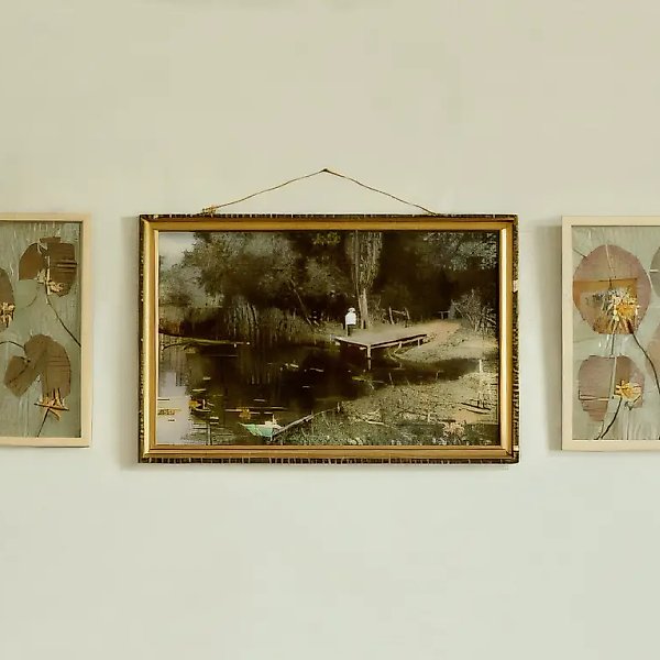 Психоботаника, 1989, Репродукция с живописи, фотоколлажи, гербарий, обои, 140 х 60 х 2 см Собственность автора