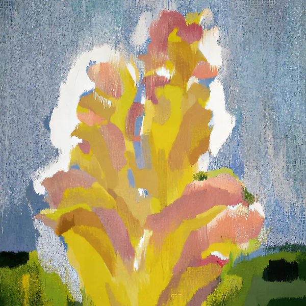 The primrose. The field flowers., 1995,  , 148х237