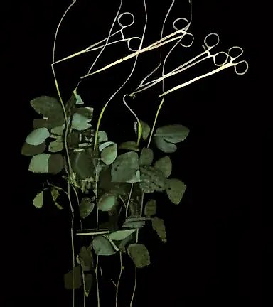 Laboratory Experiment №12, 1997, sketch for video installation, colour photo