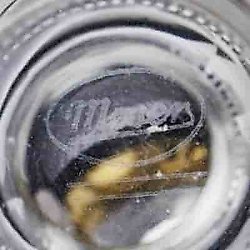 Moser/Moser/玻璃生产