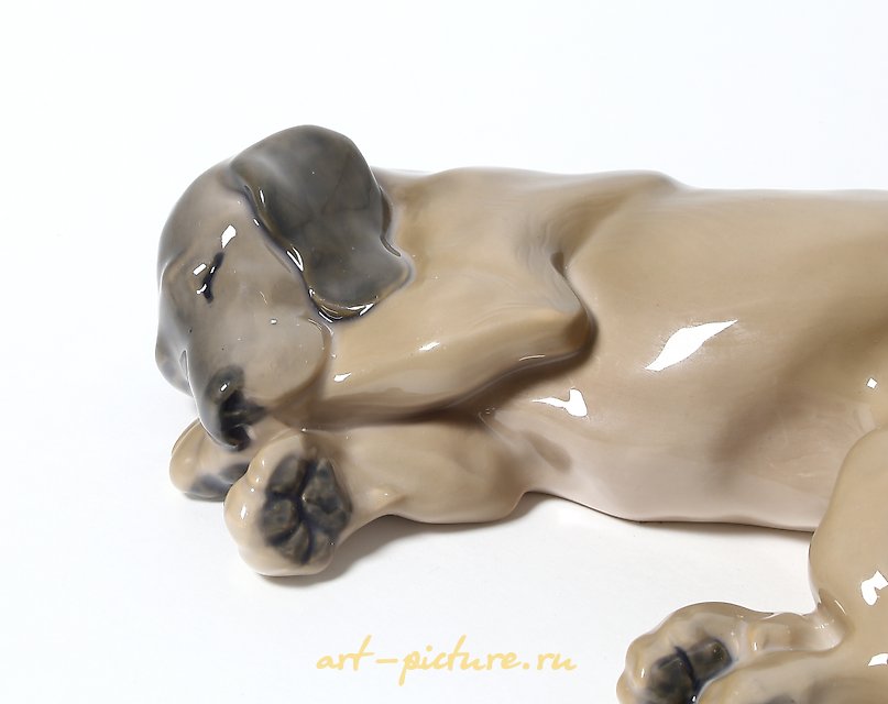 塔克萨。丹麦，哥本哈根，皇家哥本哈根