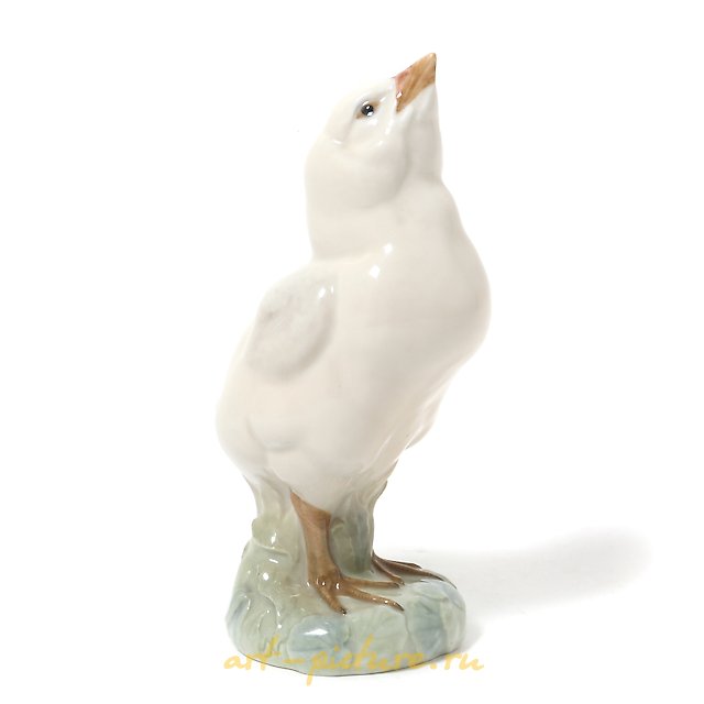 火鸡小鸡。丹麦，哥本哈根，皇家哥本哈根，1923年