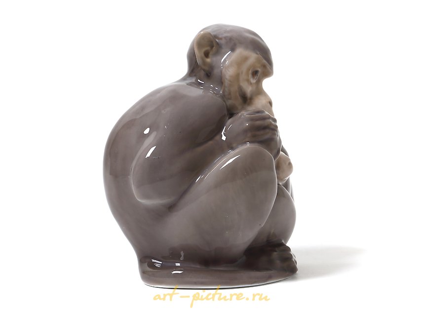 The translation of "Пара обезьян" into English is "A pair of monkeys."