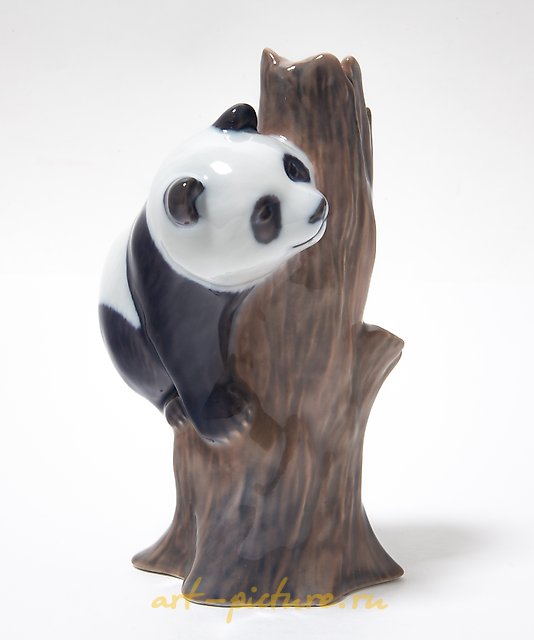 树上的熊猫。丹麦，哥本哈根，皇家哥本哈根