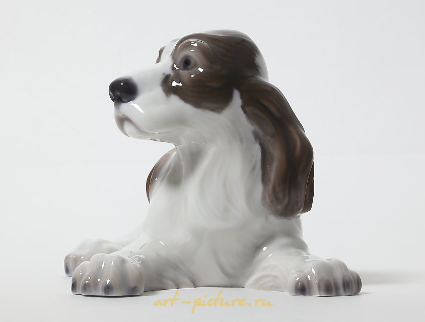 Spaniel. Denmark, Lyngby Porcelain