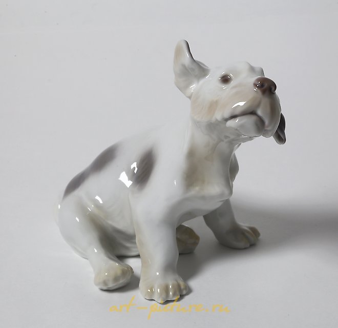 A puppy of the Sealyham Terrier. Denmark, Copenhagen, Bing & Grondahl.