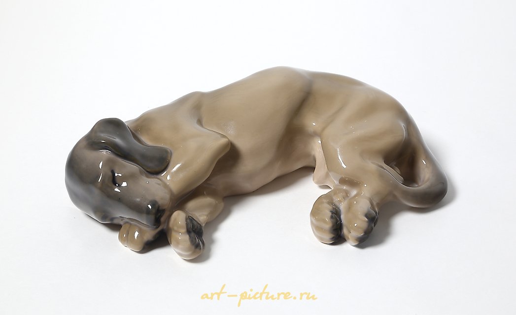 塔克萨。丹麦，哥本哈根，皇家哥本哈根