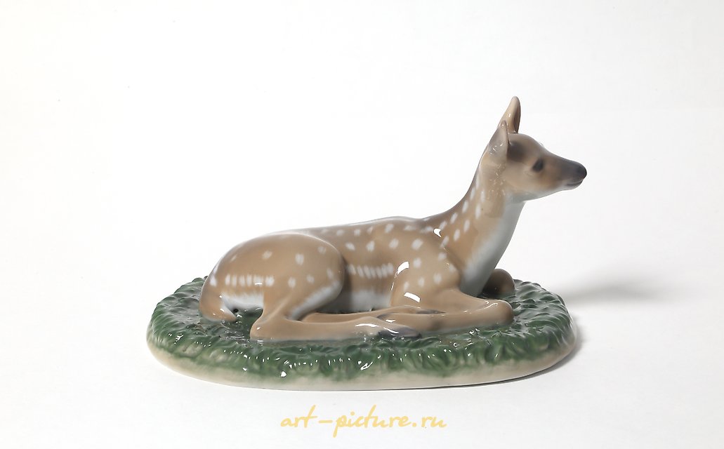 小鹿。丹麦，哥本哈根，皇家哥本哈根