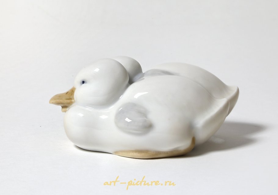 一对小鸭子。丹麦，哥本哈根，皇家哥本哈根