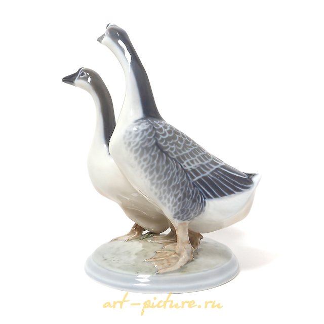 两个鹅。丹麦，哥本哈根，皇家哥本哈根