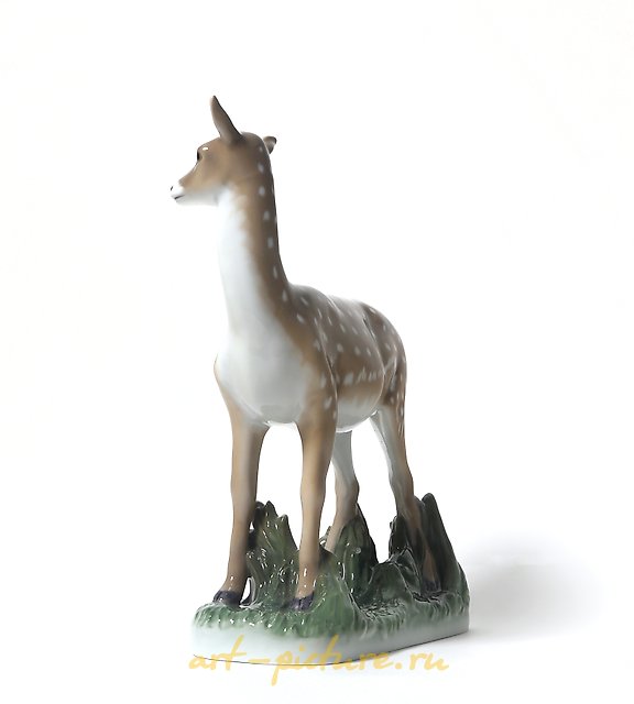 Young roe deer. Denmark, Copenhagen, Royal Copenhagen.