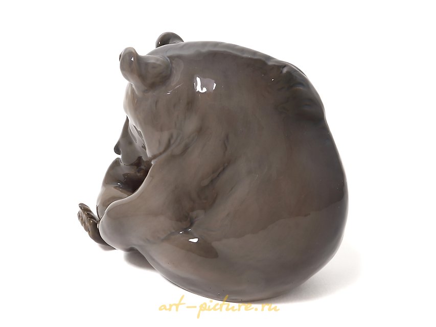 棕熊在吮吸爪子。丹麦，哥本哈根，皇家哥本哈根，1923年。