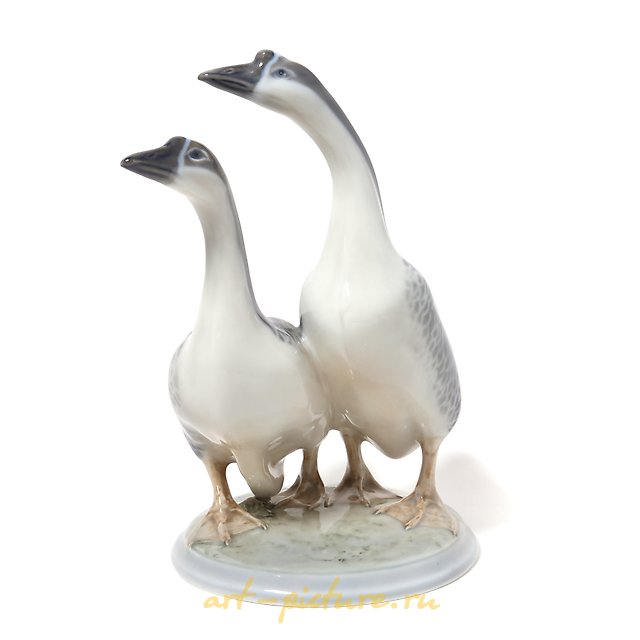 两个鹅。丹麦，哥本哈根，皇家哥本哈根