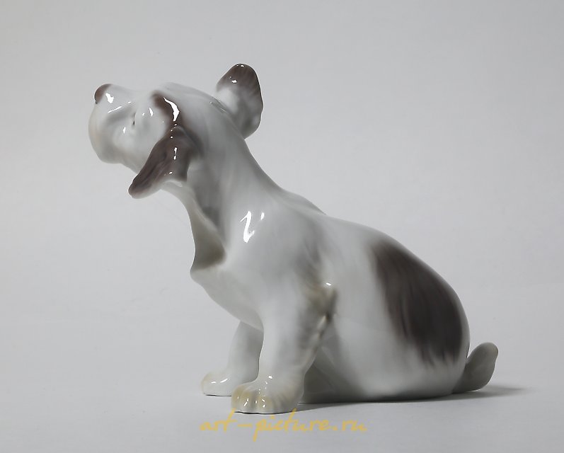 A puppy of the Sealyham Terrier. Denmark, Copenhagen, Bing & Grondahl.