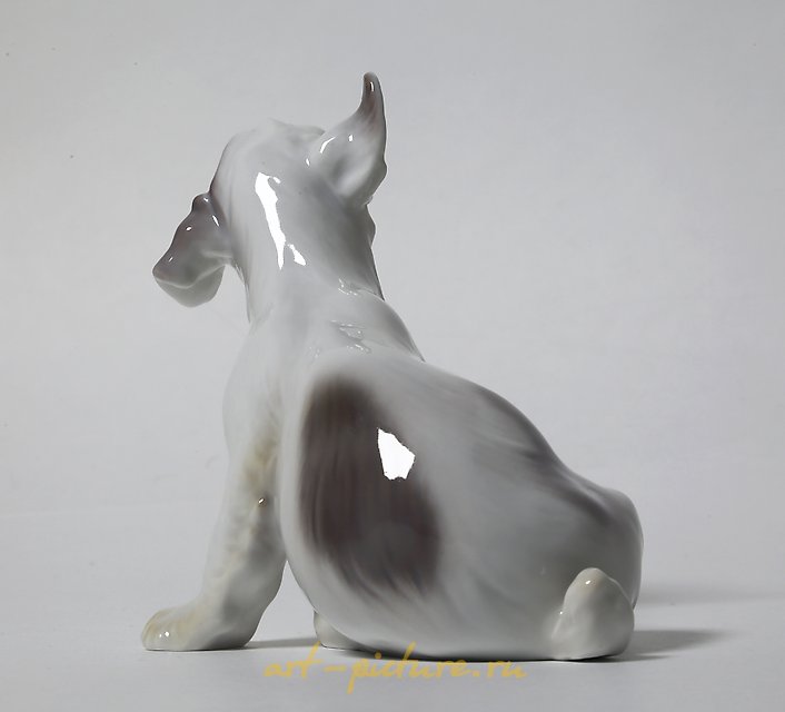 A puppy of the Sealyham Terrier. Denmark, Copenhagen, Bing & Grondahl.