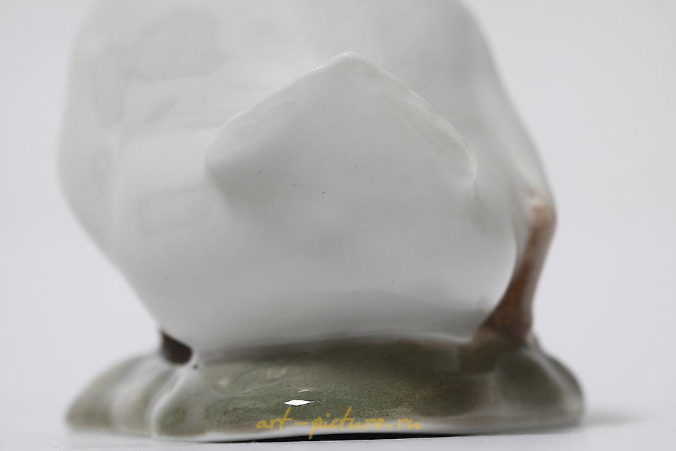 鸭子。丹麦，哥本哈根，皇家哥本哈根，1910-1923年。