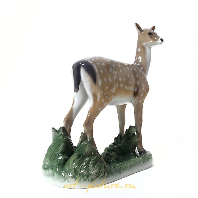 Young roe deer. Denmark, Copenhagen, Royal Copenhagen.