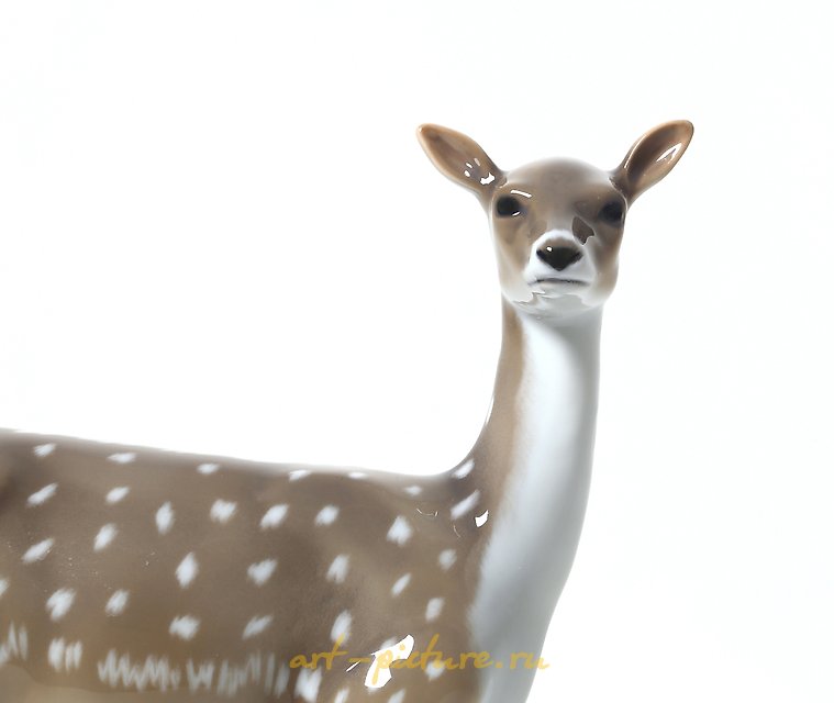 Young roe deer. Denmark, Copenhagen, Royal Copenhagen.