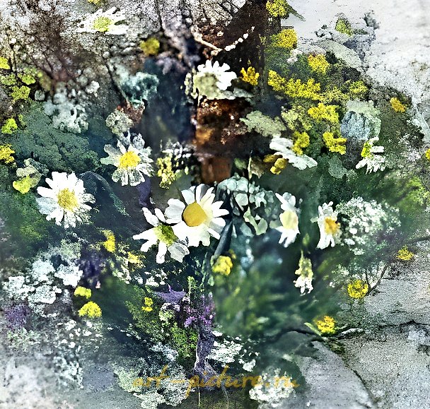 花卉。 布面油画。 70 x 90 厘米