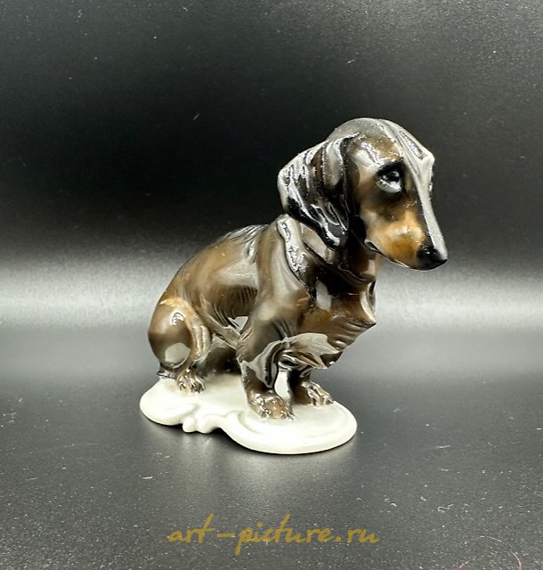 Porcelain figurine of a dachshund. Germany. Rosenthal.