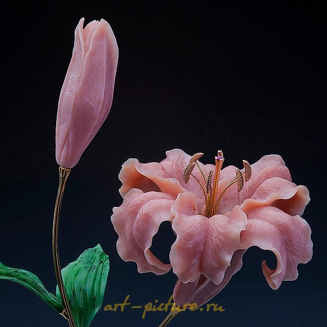 粉色百合。石材花艺