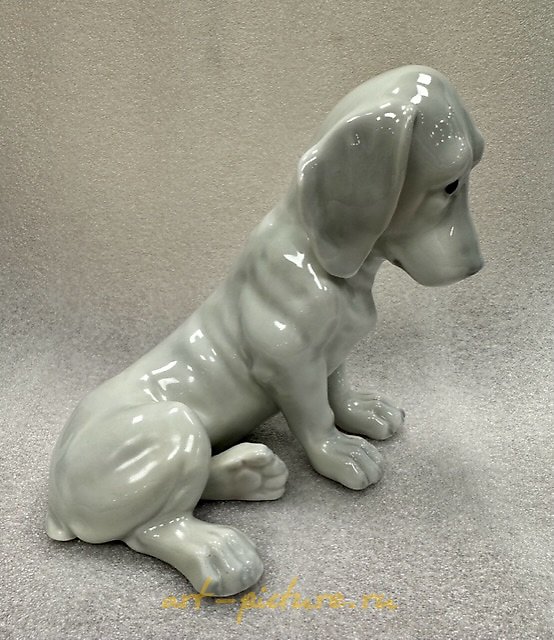 忧伤的狗，海布赫，德国