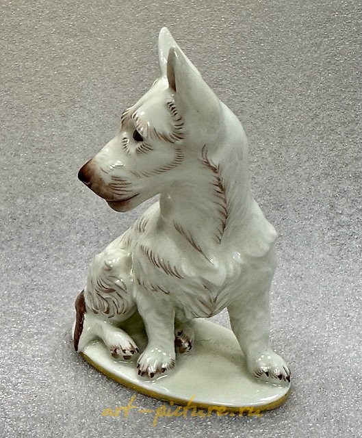 Porcelain figure "Scottish Terrier". Rosenthal Theodor Karner