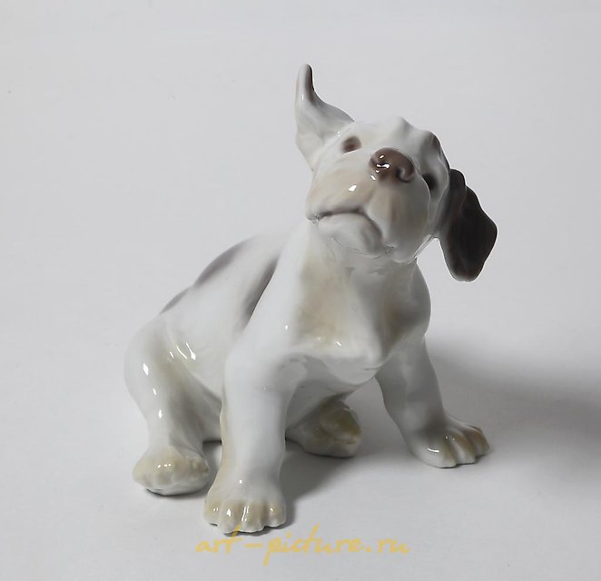 A puppy of the Sealyham Terrier. Denmark, Copenhagen, Bing & Grondahl.