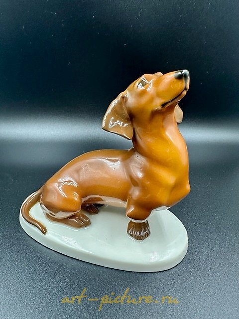 Porcelain figurine "Dachshund," produced in 1910 in Passau, Germany, model number 1058.
