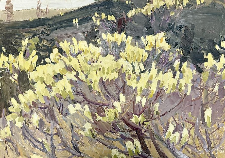 Тундровая верба