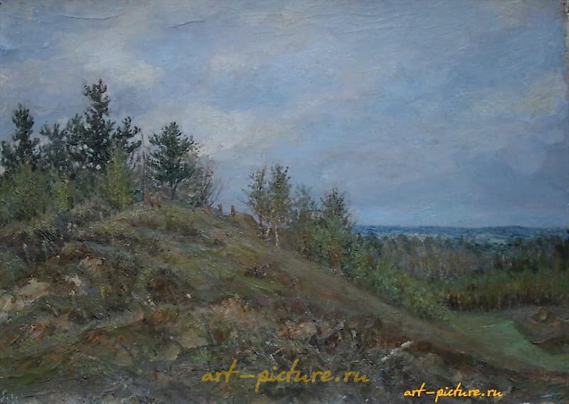 秋日风景。纸板，油画。52 x 73 厘米