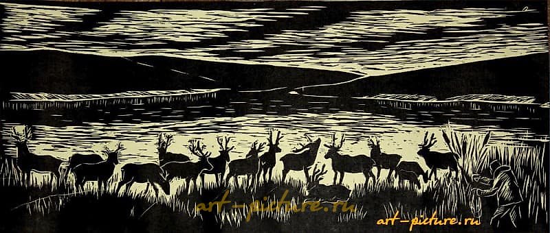 在日落时分的林木刻