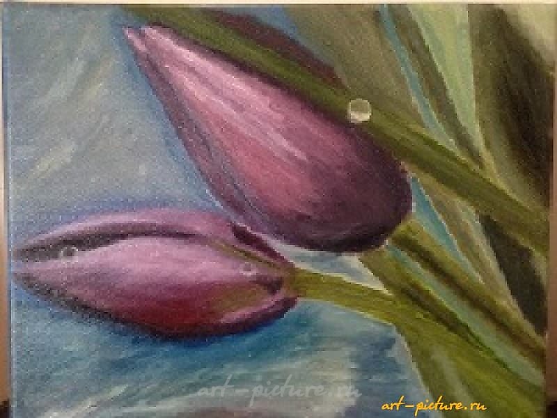 "Tulips oil on canvas"