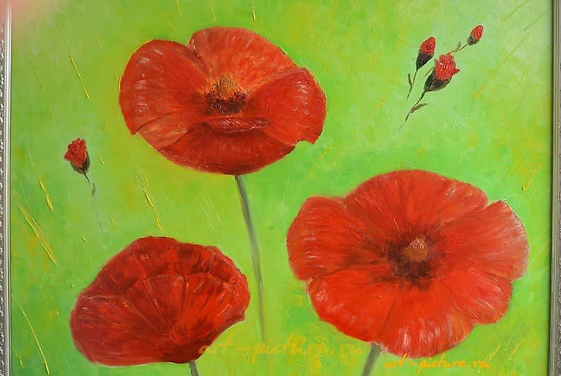 The translation of the text is: "Poppy game with red canvas oil."