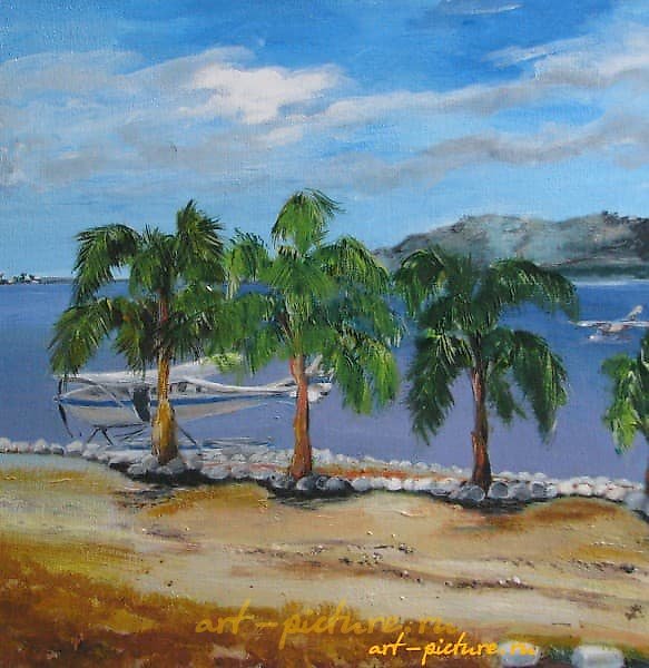 飞机在水性丙烯和画布上。