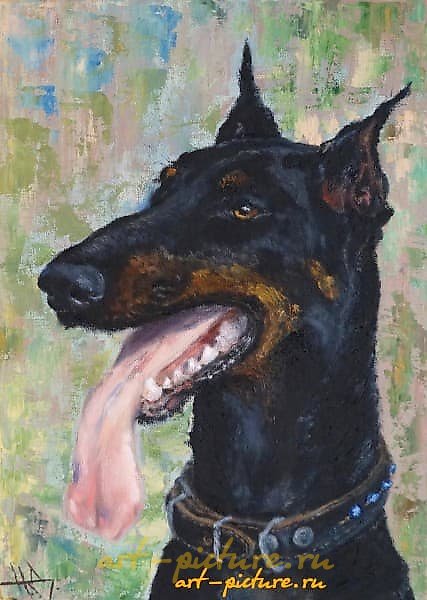 The translation of "портрет добермана масло, холст" into English is "portrait of a Doberman, oil on canvas."