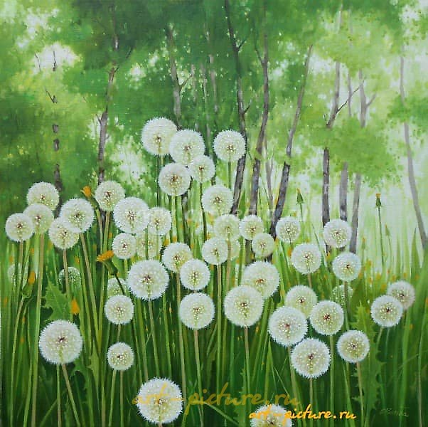"Dandelions, canvas, oil"