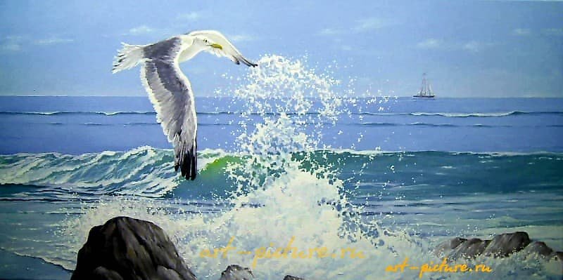 The translation of "Чайка холст, масло" into English is "Seagull canvas, oil."