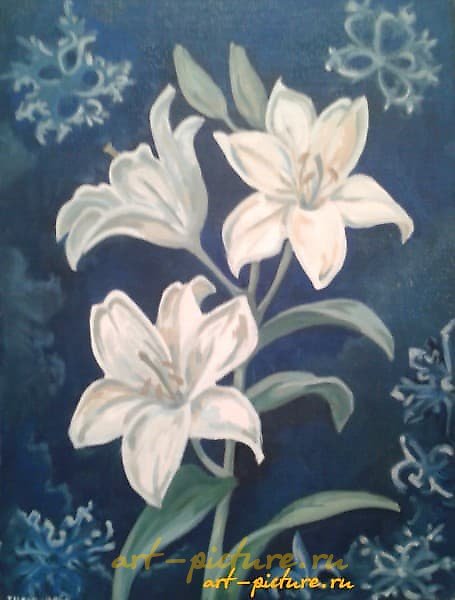 "Lily oil on canvas"