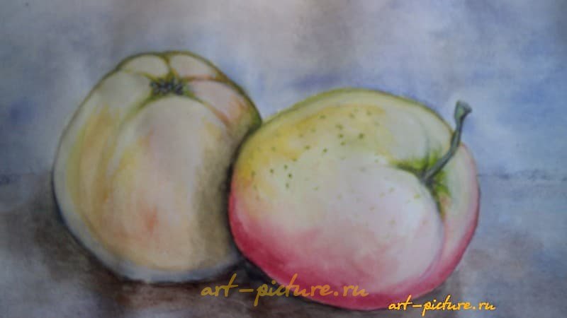 年轻的苹果 水彩，纸张