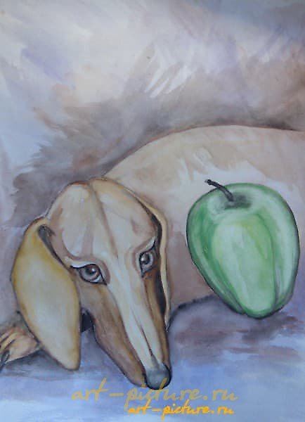 布鲁诺与苹果 水彩，纸张