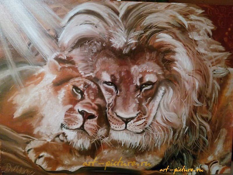 Lions.Tenderness oil, canvas