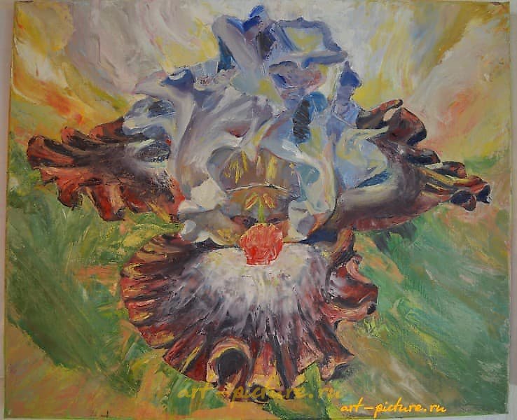 "Iris canvas, oil"
