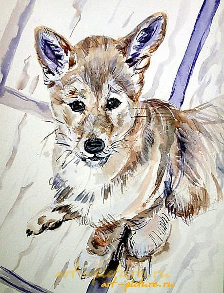 The text translates to "View from below, paper, watercolor."