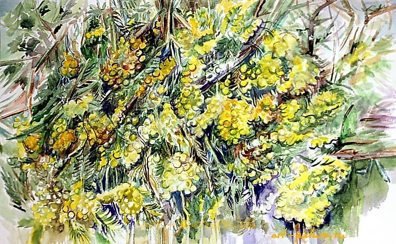 莫莫扎纸，水彩